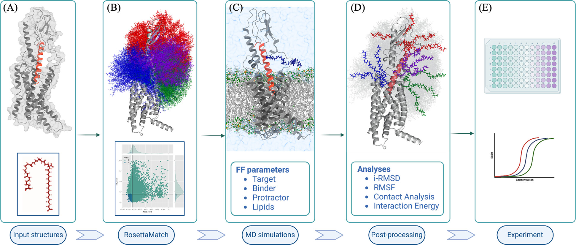 nnprotscan: Scanning PEG-ylation Sites on Peptides for Half-Life Extension